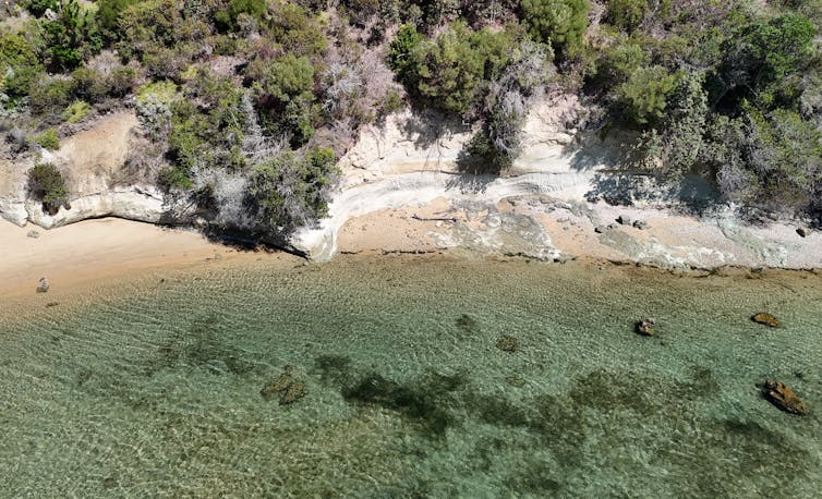 Shoreline seen from above