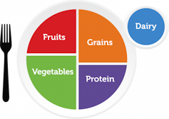 Simple plate with coloured sections for vegetables, fruits, grains and protein. Dairy is on the side.