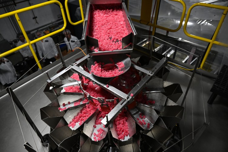 Red gummies tumble down a silver metal machine with workers in white lab coats and hairnets looking on from below.