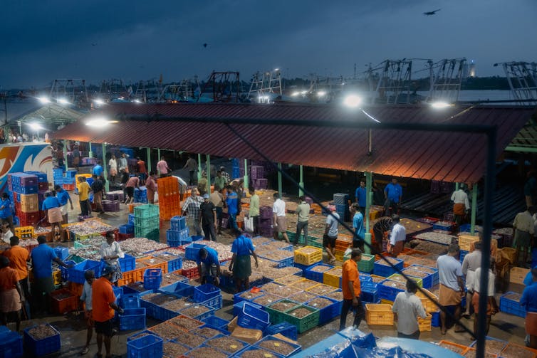 An auction takes place at a busy seafood market.