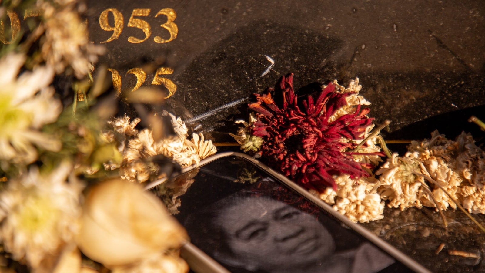 A smartphone displaying a portrait is surrounded by dried flowers on a gravestone with engraved numbers.