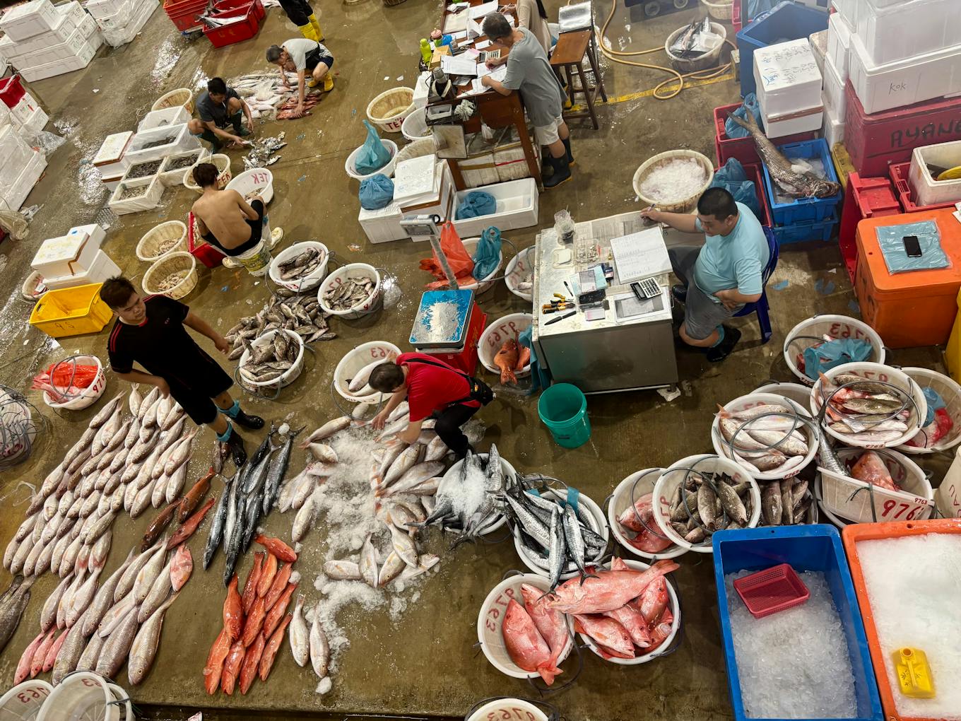 Fish traders from above at Jurong Fishery Port