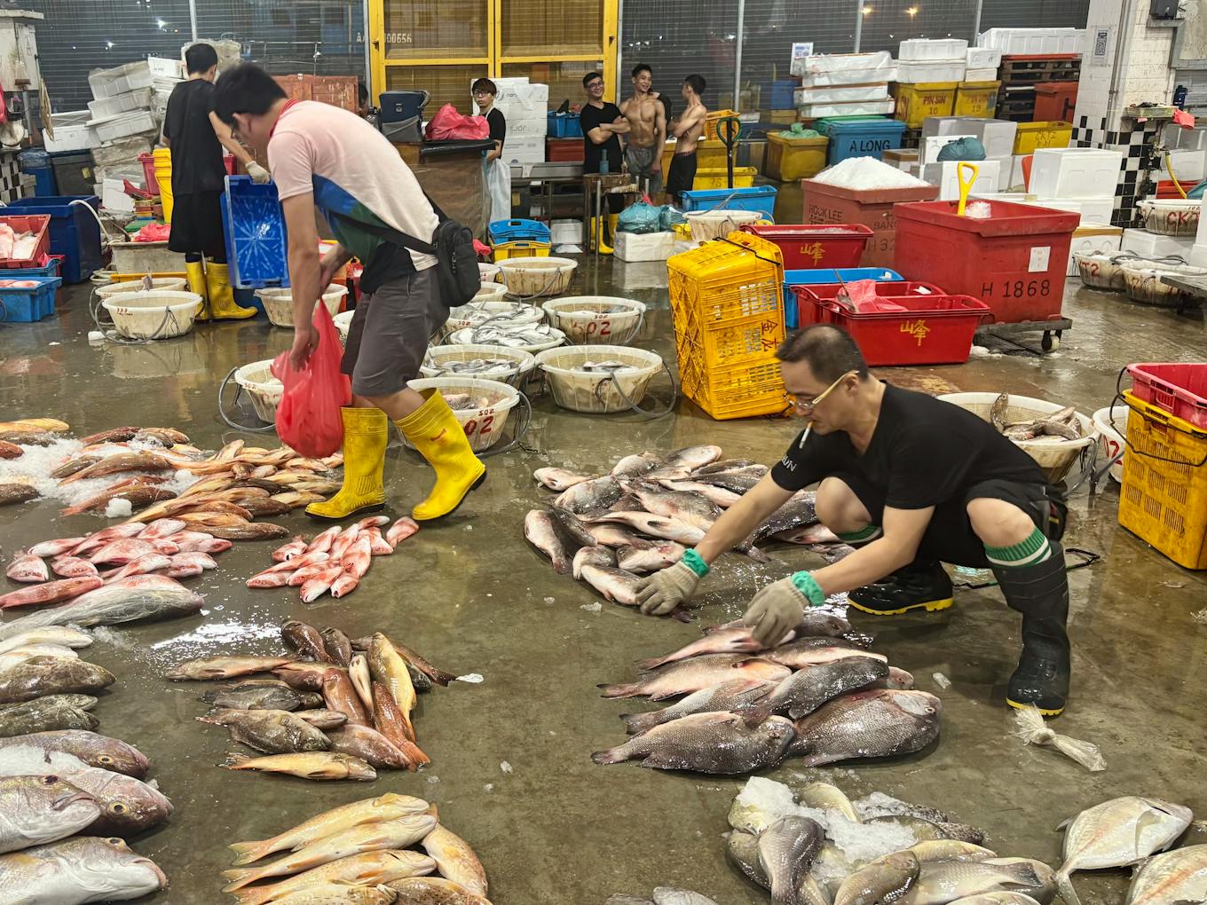 A fish trader separates species on the floor of Jurong Fishery Port