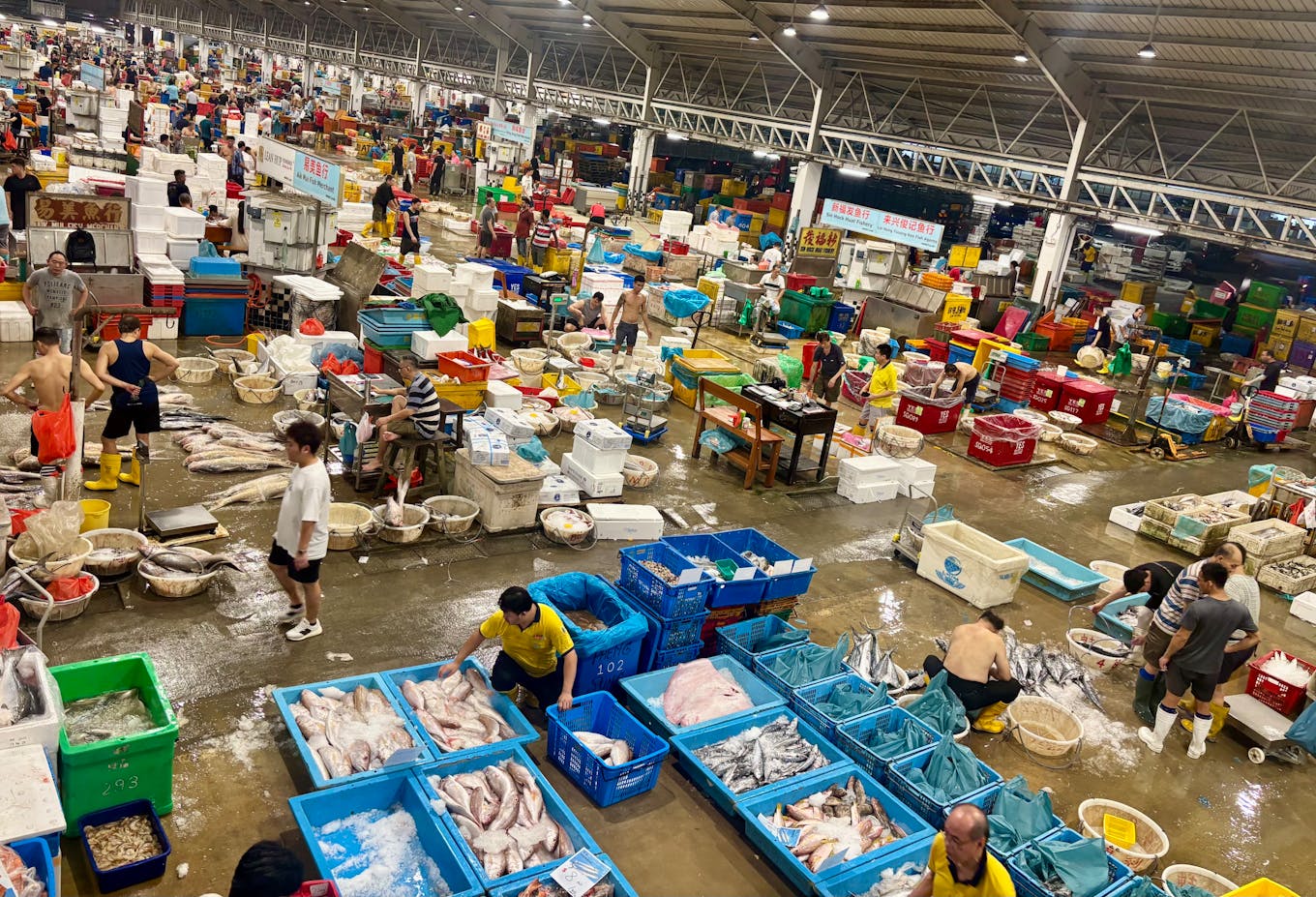 Jurong Fishery Port from above