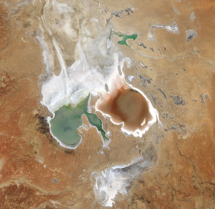 satellite map of Kati Thanda-Lake Eyre while full, green arm of lake and brown arm, white saltflats around.