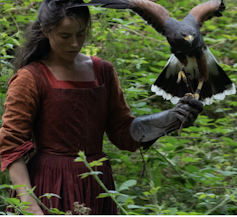 A 16th-century woman with a gloved left arm that is holding a kestrel.