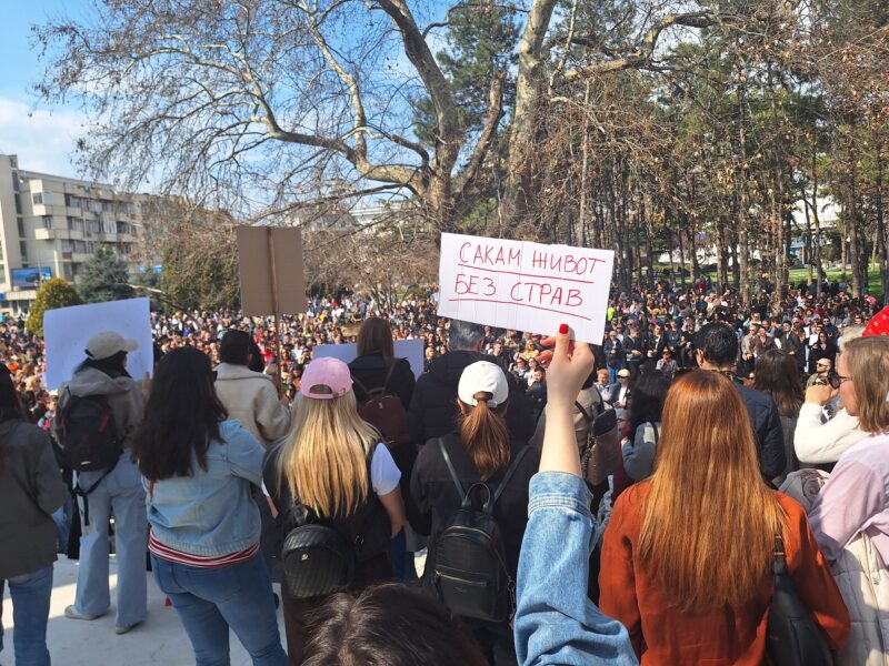 "I want life without fear" sign at March 8 protest in Skopje, North Macedonia. Photo by Meta.mk, used with permission. 