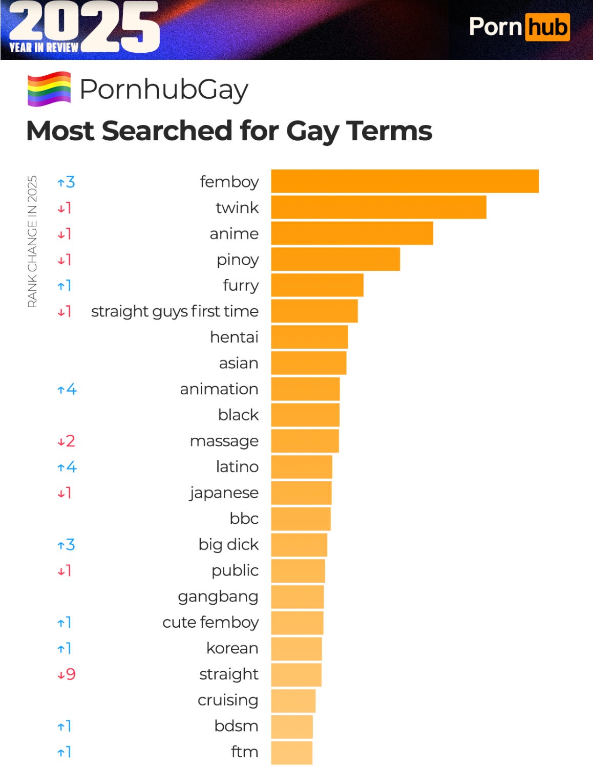 A ranking of the most searched for “gay terms,” according to PornHub. Screenshot from PornHub.