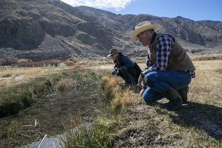 Two men wearing cowboy hats crouch near a creek and look at it, with mountains and large expanse of grass behind them.