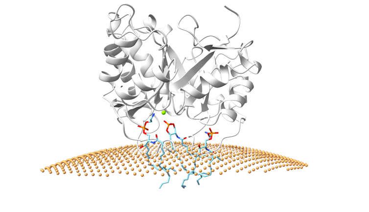 Illustration of a mass of grey spirals and ribbons perched on a yellow surface resembling mesh