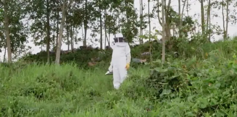 An example beekeeping suit.