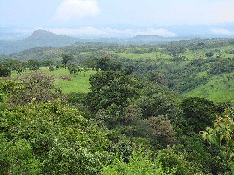 A snapshot of Guanacaste in Costa Rica.