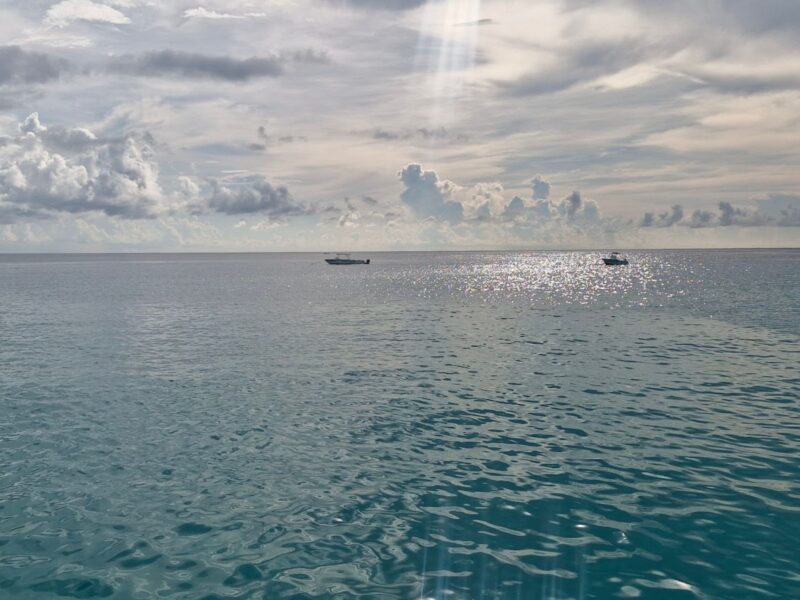 Fishing vessels in Barbados waters. Photo by Linton Arneaud, used with permission. 