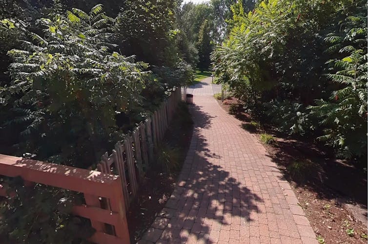 a winding path