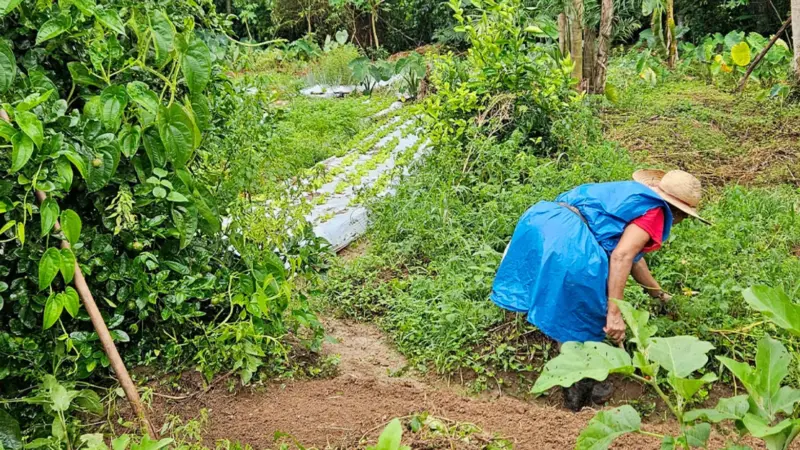Women farmers in Brazil. 