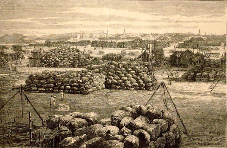 An engraving showing Bombay cotton yards in the 19th century.