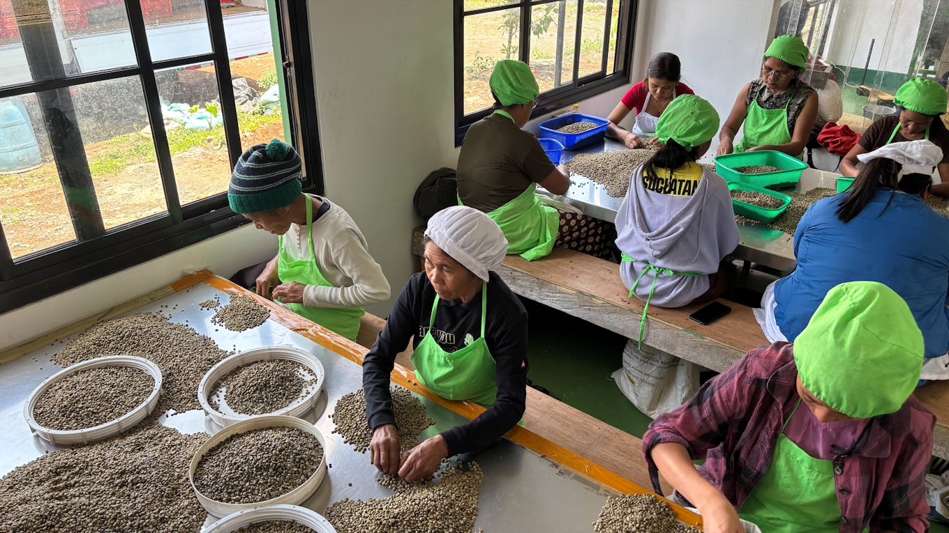 Farmers in a coffee cooperative in Bukidnon