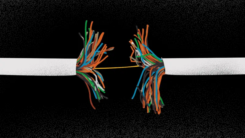 Image of two frayed cable ends. Image from iMEdD, used with permission.