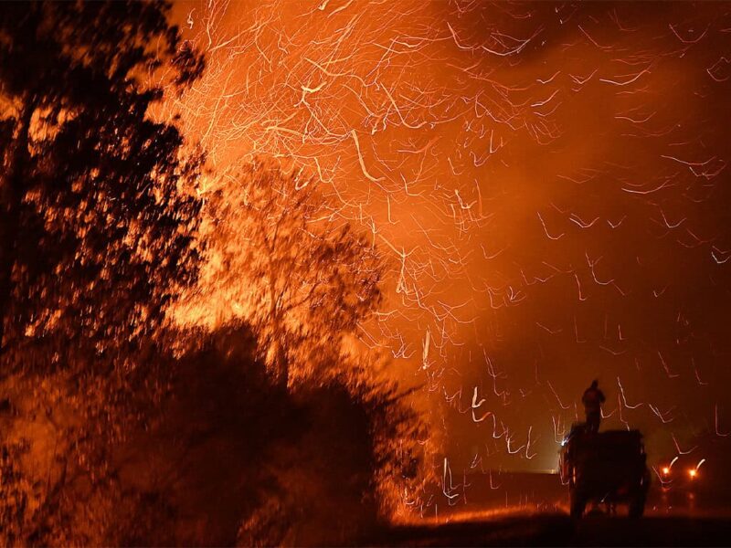 The 2024 fires in the Chiquitana region. Photo by Revistas Nómadas/Steffen Reichle; used with permission.