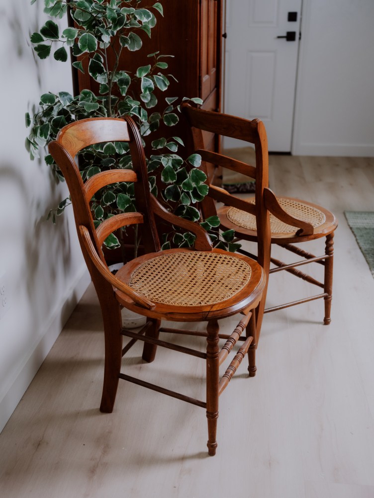Two old wooden chairs with crosshatch seats near a large plant with green leaves in a living room with white walls.