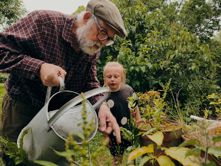 An older man is watering a garden while a young girls watches beside him.