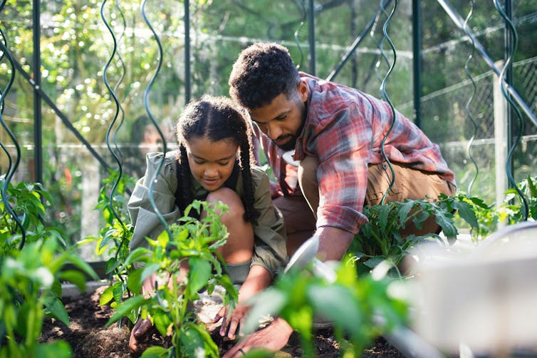 A man and an adolescent girl garden together.