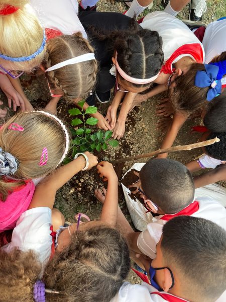Nativa aporta una mirada más intimista, que posibilita una relación afectiva con las plantas (Foto: Cortesía de Nativa).