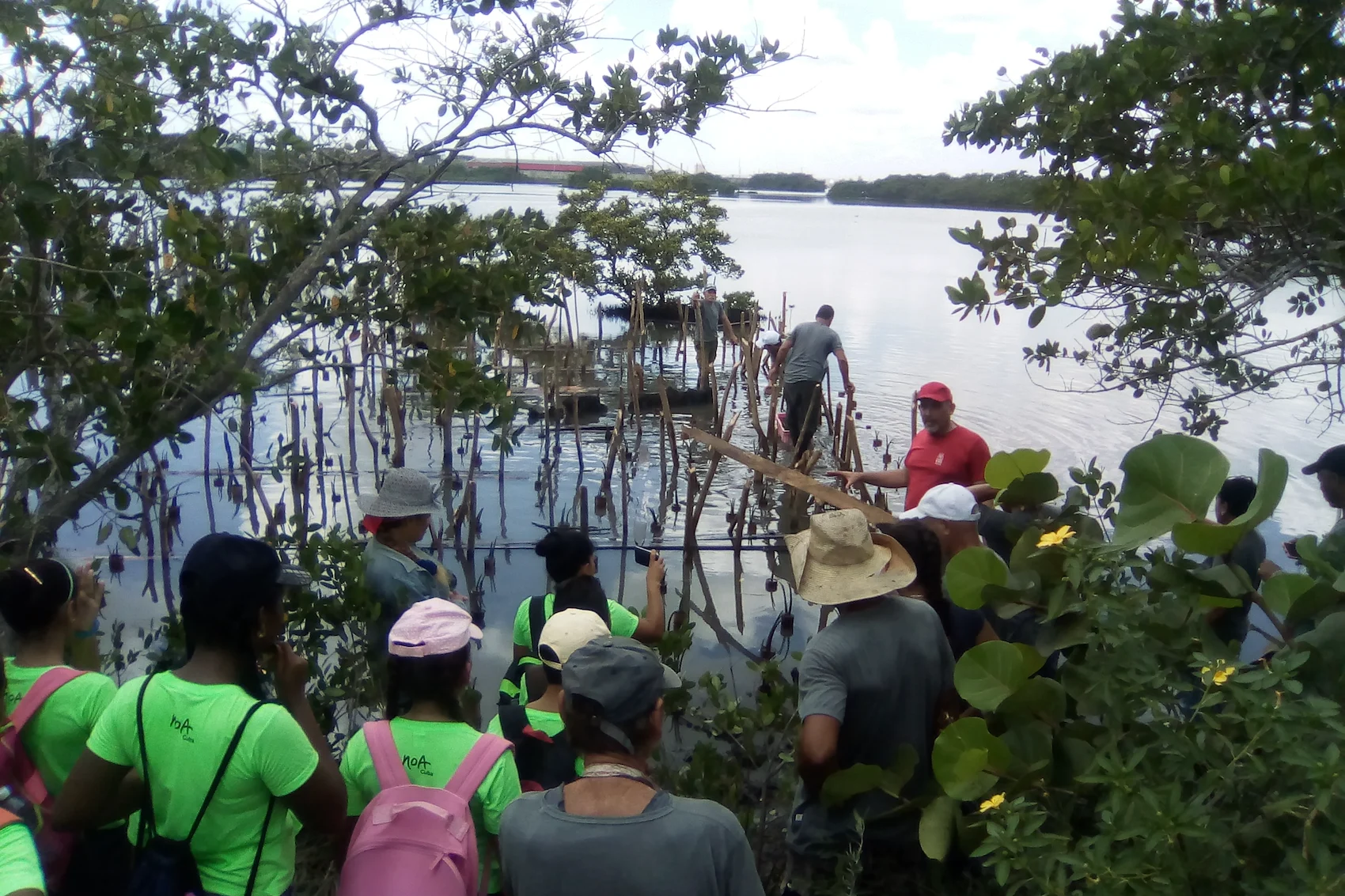 Training of students on mangrove restoration using small ponds in Havana Bay / Photo credit: Manglar Vivo