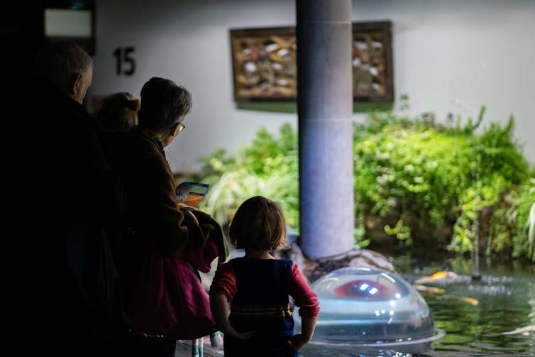 Older adults with young children looking at a water display that appears to be indoors.