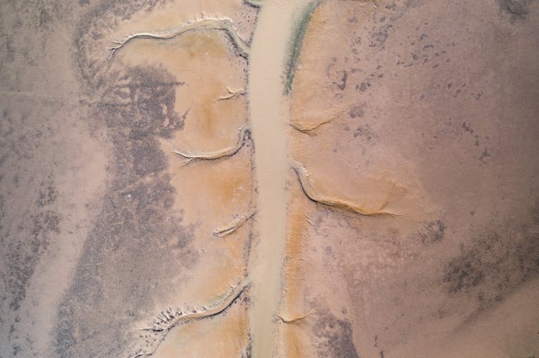 A channel of water on the delta of the Martuwarra/Fitzroy River seen from a birds-eye perspective near Derby, Western Australia.