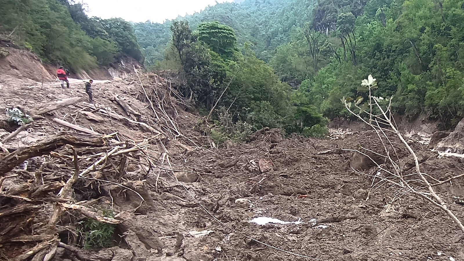 A muddy landscape affected by a landslide, with fallen tree branches and two people walking in the background among the debris