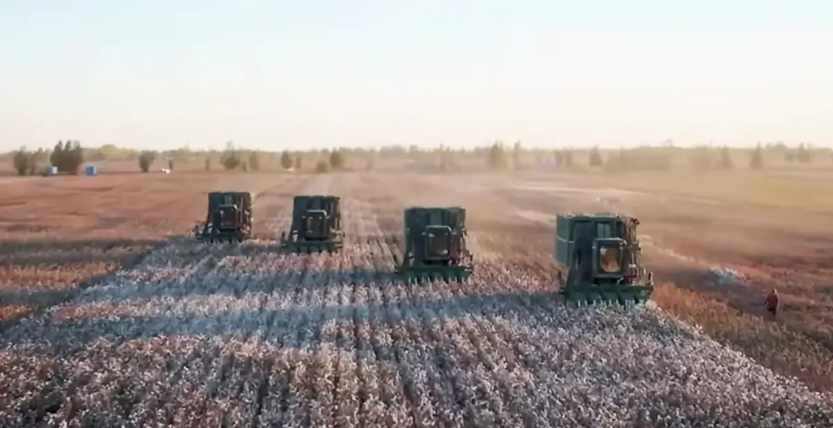 Xinjiang cotton