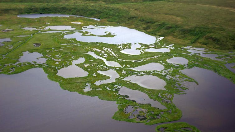 A landscape of ponds rimmed with vegetation.