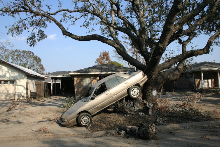 car damaged next to tree, broken buildings post hurricane