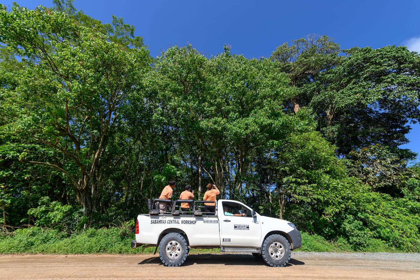 Wilmar wildlife monitoring