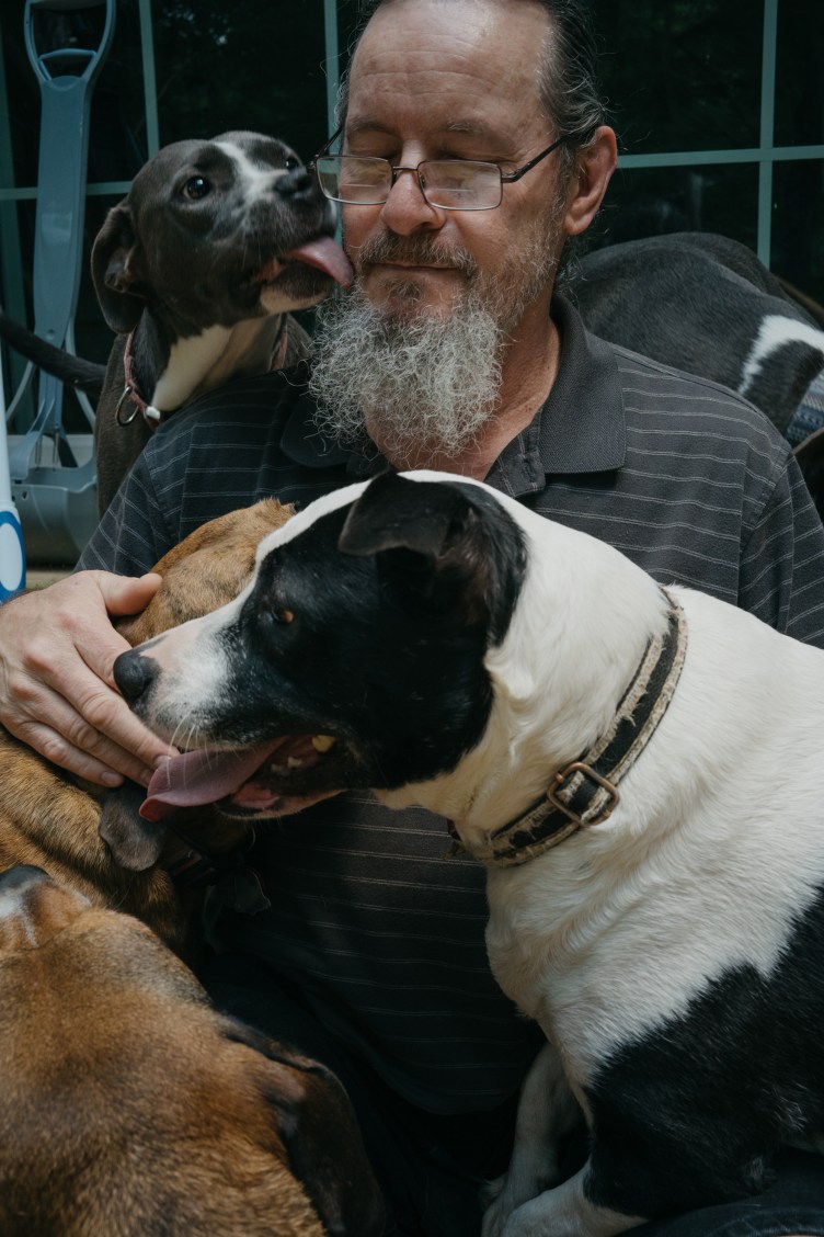 Dogs cuddle and lick a man with a large gray beard and glasses. His eyes are closed. Three dogs are gray or black and white, and two are reddish-brown.