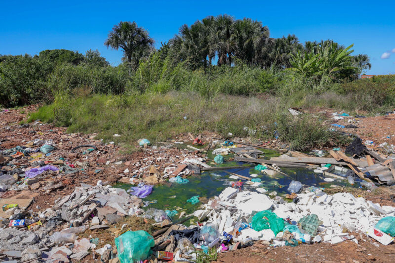 Rubbish strewn across one of Sol Nascente’s few green spaces, Lagoinha Park. These buriti palms signal abundant groundwater but the area has been steadily built upon (Image: Fabio Pozzebom / Dialogue Earth)