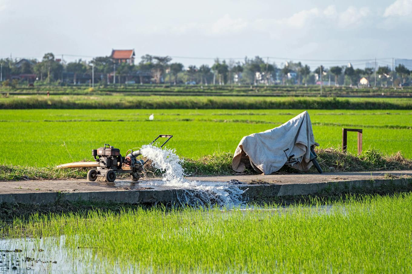 Agriculture continues to account for the largest share of water withdrawals across much of Asia.
