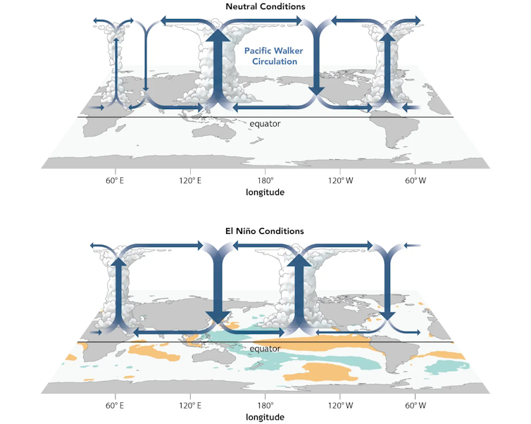 Two illustrations show how El Niño shorts the air circulation to create conditions less conducive to Atlantic hurricanes.