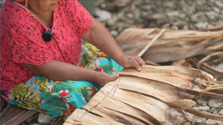 Close-up of a woman preparing long, dried fronds for traditional roof thatching.